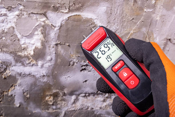 Best Affordable Mold Removal  in Roland, OK