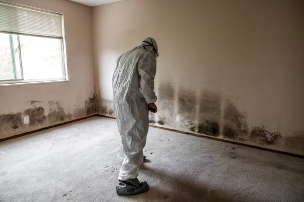 Best Mold Cleaning Services  in Roland, OK